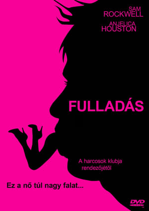 Poster Fulladás 2008