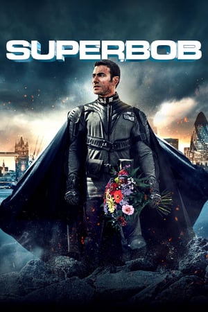 Poster SuperBob 2015