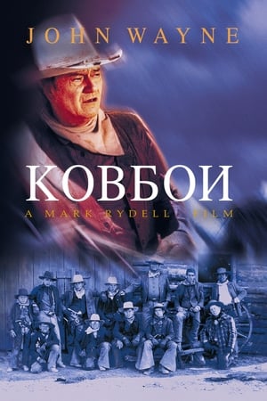 Poster Ковбои 1972