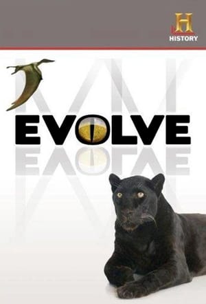 Poster Evolve 2008