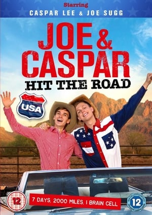 Poster Joe & Caspar: Hit The Road USA 2016