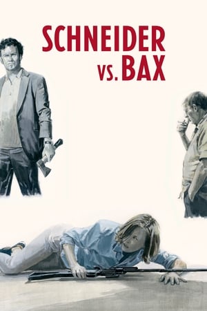 Poster Schneider vs. Bax 2015