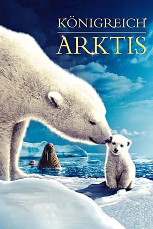 Poster Königreich Arktis 2007