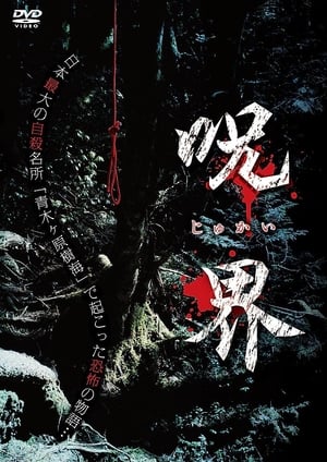 Poster 呪界 2013