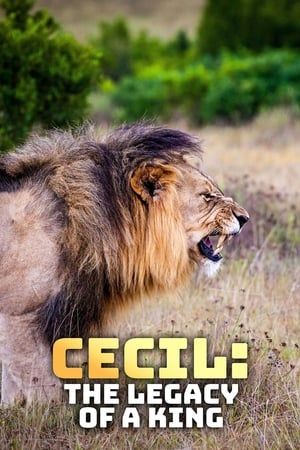 Poster Cecil: The Legacy of a King 2020