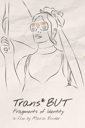 Poster Trans*BUT — Fragments of Identity 2015