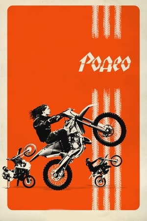 Poster Родео 2022