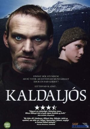 Poster Kaldaljós 2004