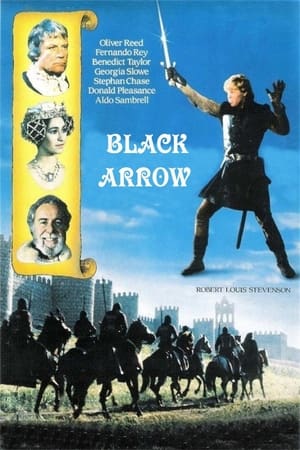 Poster Black Arrow 1985