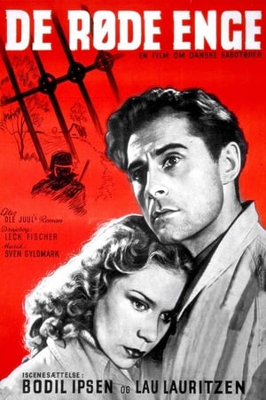 Poster De røde enge 1945