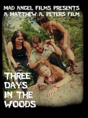 Poster Three Days in the Woods 2010