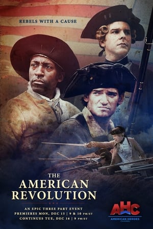 Poster The American Revolution 2014