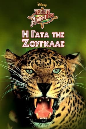 Image Η Γάτα της Ζούγκλας