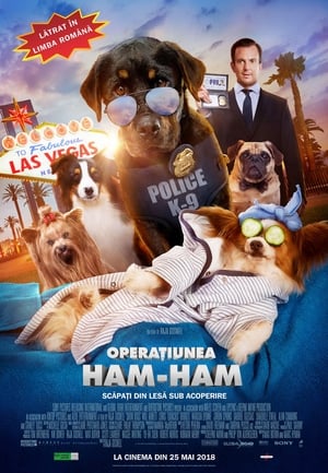 Poster Operaţiunea Ham-Ham 2018