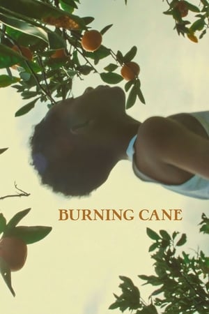 Poster Burning Cane 2019