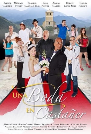 Poster Una boda en Castañer 2015