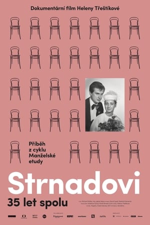 Poster Strnadovi 2017