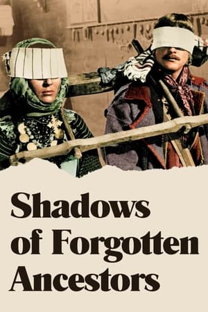 Image Shadows of Forgotten Ancestors