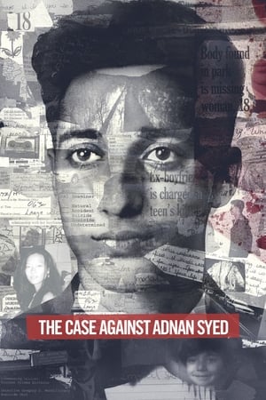 Poster The Case Against Adnan Syed 2019