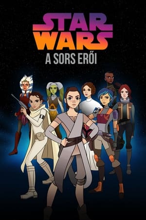 Poster Star Wars: A sors erői 2017