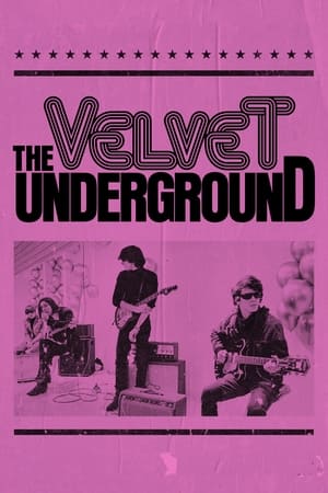 Image История The Velvet Underground
