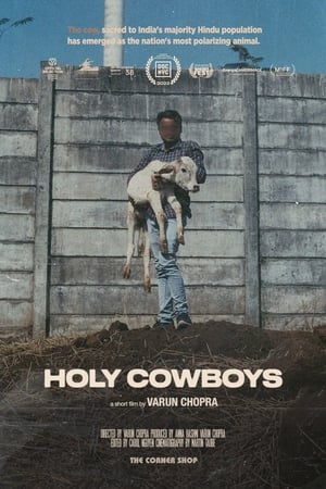 Image Holy Cowboys