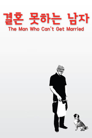 Poster 결혼 못하는 남자 2006