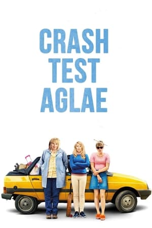 Poster Crash Test Aglae 2017
