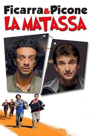 Poster La matassa 2009