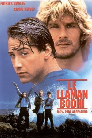 Poster Le llaman Bodhi 1991