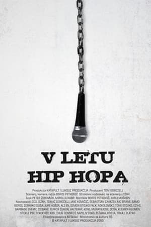 Poster V letu hip hopa 2011