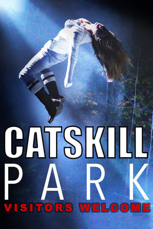 Poster Catskill Park 2018