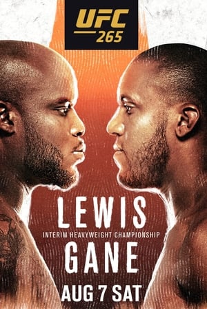 Poster UFC 265: Lewis vs. Gane 2021