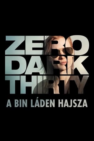 Image Zero Dark Thirty - A Bin Láden hajsza
