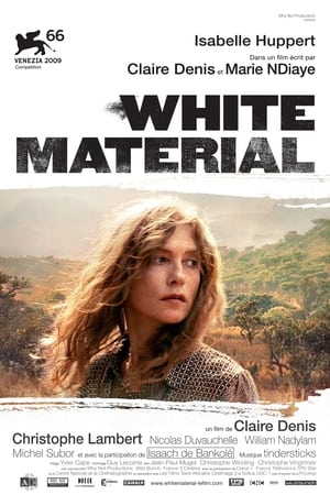 Poster Biała Afryka 2010