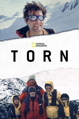Poster Torn 2021