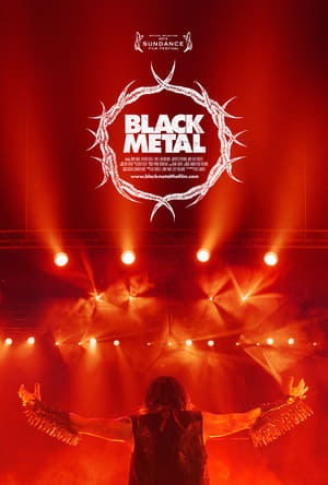 Poster Black Metal 2013
