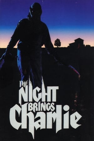 Poster Denn nachts kommt Charlie 1990
