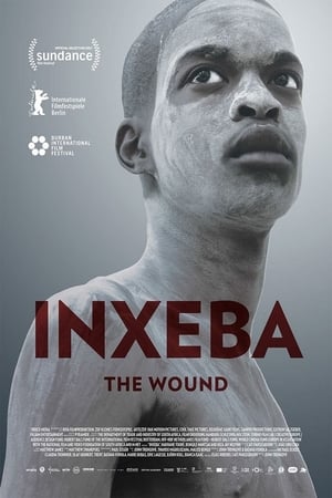 Poster Inxeba 2017