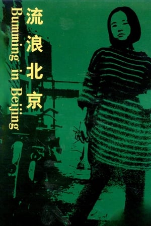 Poster 流浪北京 1990