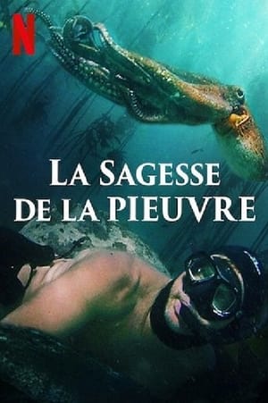 Poster La Sagesse de la pieuvre 2020