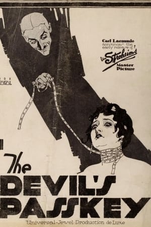 Poster The Devil's Passkey 1920