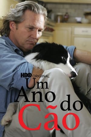 Poster Um Ano do Cão 2009