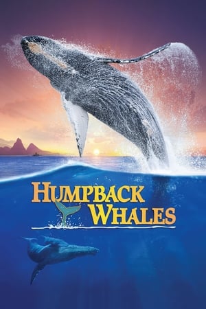 Poster Humpback Whales 2015