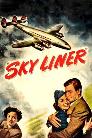 Poster Sky Liner 1949