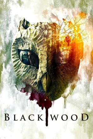 Poster Blackwood 2014