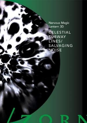 Poster Celestial Subway Lines/Salvaging Noise 2005
