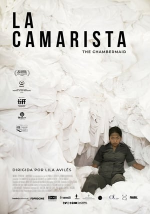 Poster La Camarista 2019