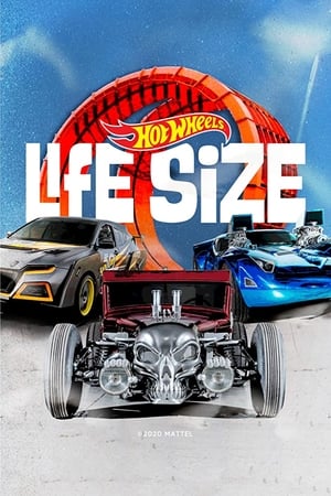 Image Life Size