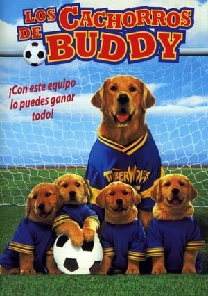 Image Air Bud 3: Los cachorros de Buddy